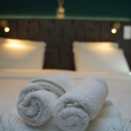 Gatsby Lejlighed Saint-Chamond